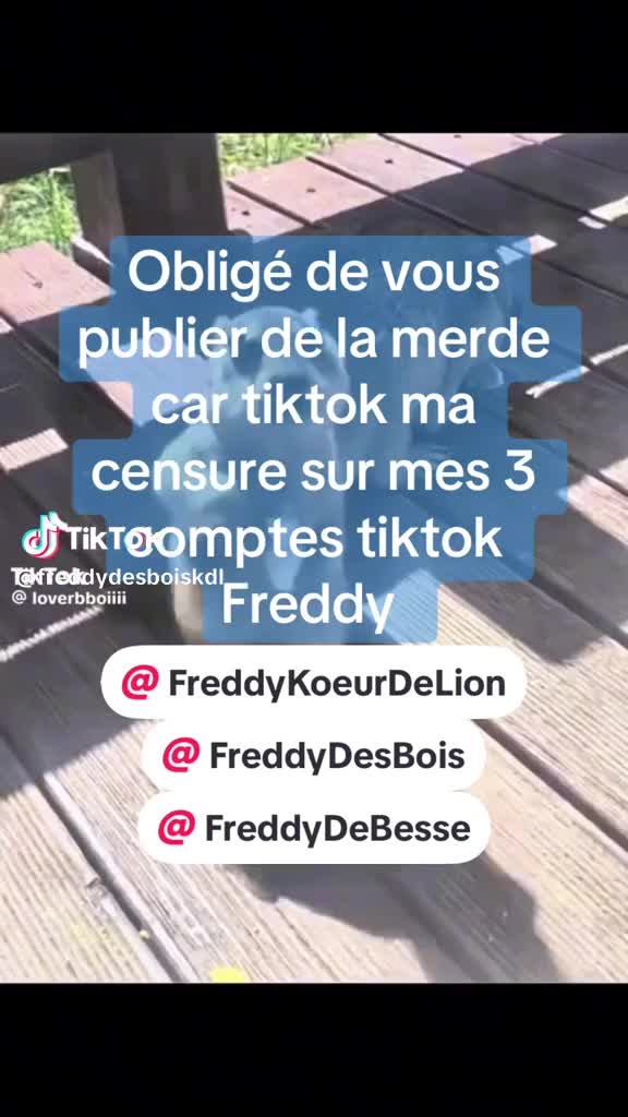 @Freddy Koeur De Lion