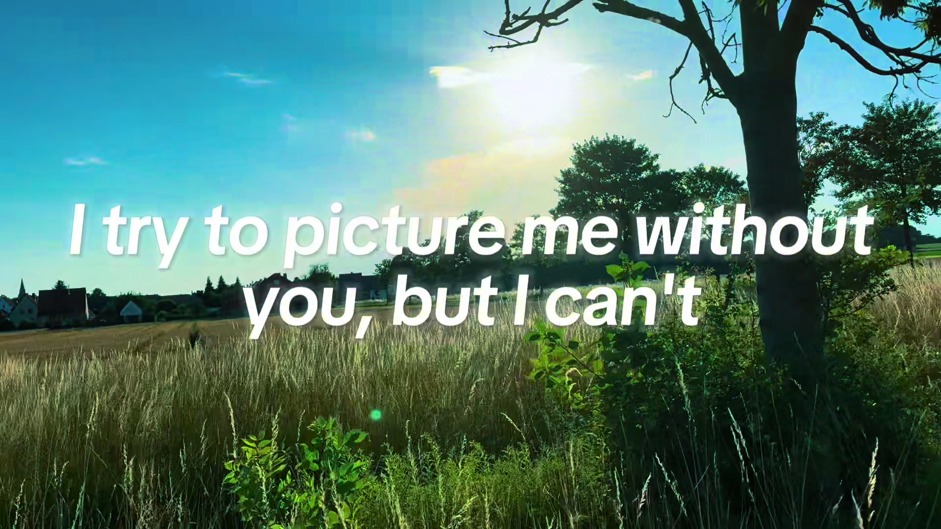 @Marcel Decker