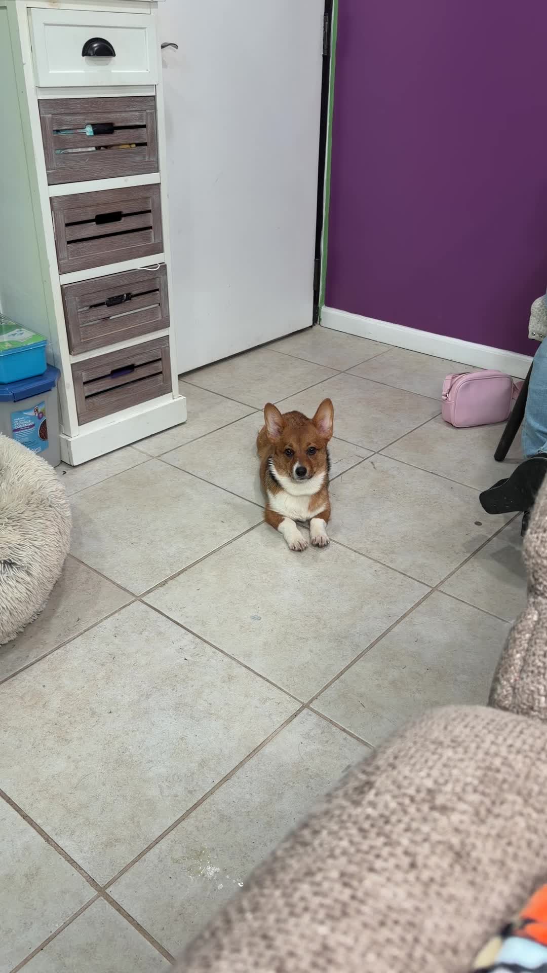 @Woycheesepups💜