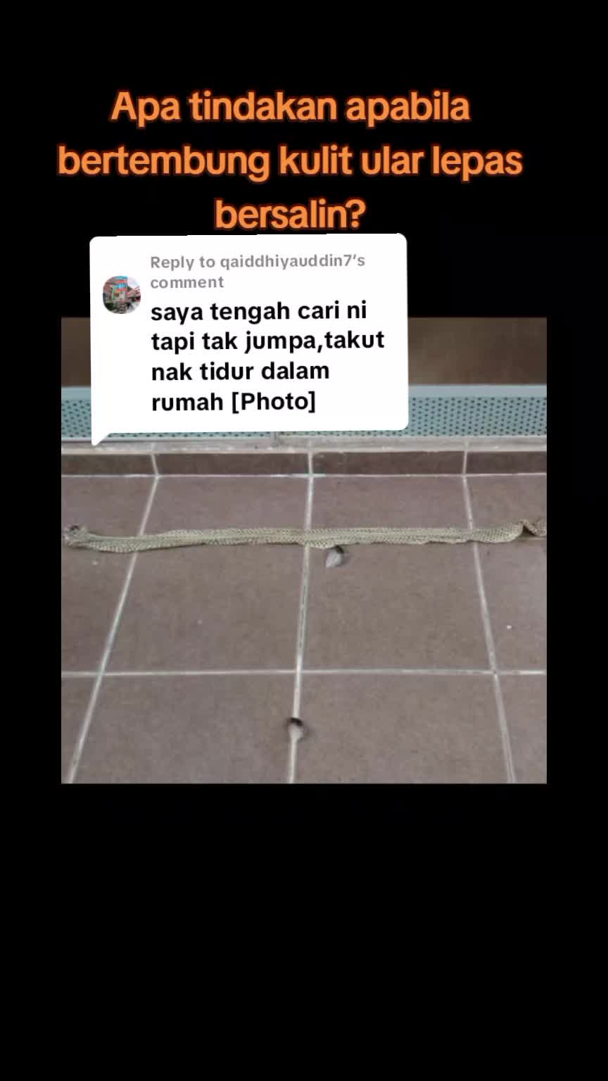 @PUTERA SEMANTAN