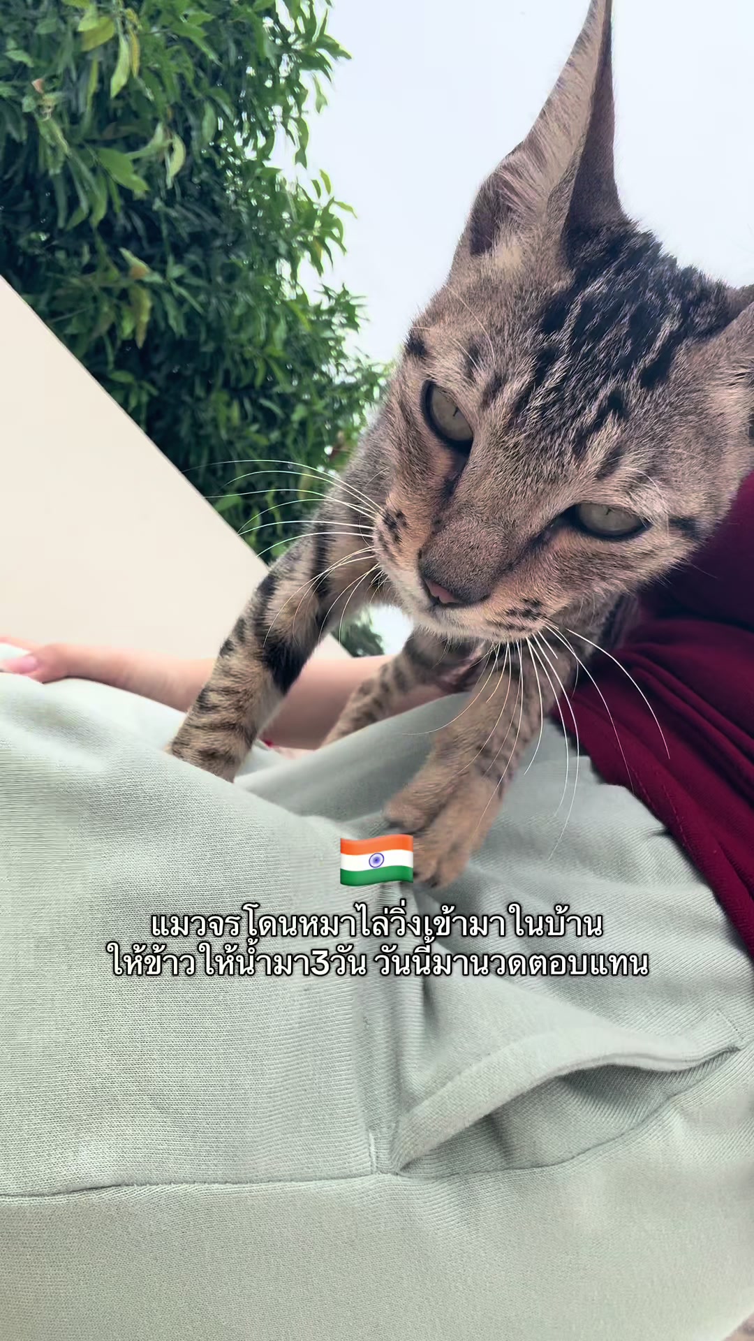 @ต้าว India 🇮🇳🇹🇭