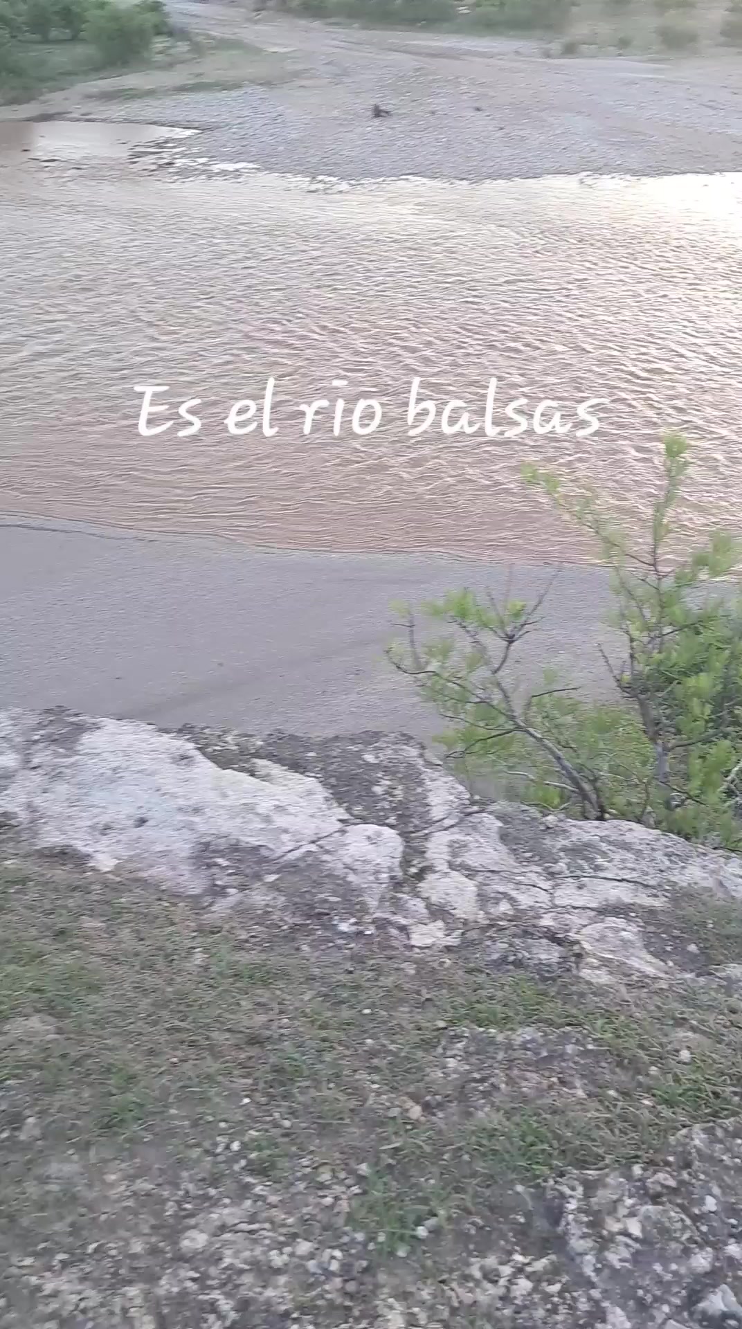 @Rojas Ely