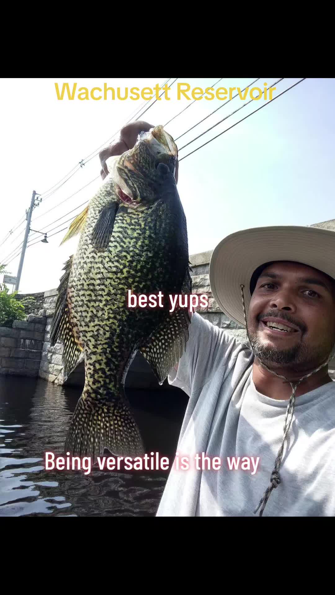 @Carlos Pagan