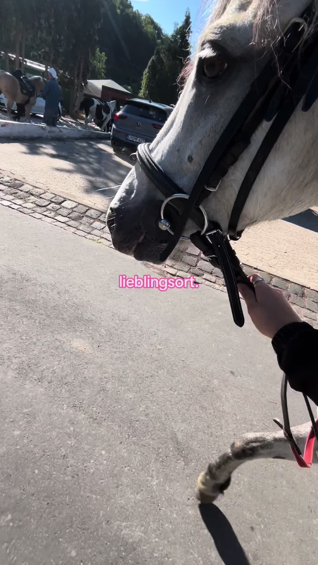 @karduck_girliesss
