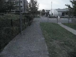 @ֶָ֢