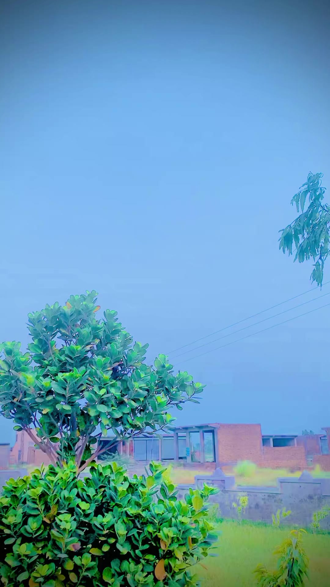 @شوٹرر گشکوری 🥷🥷