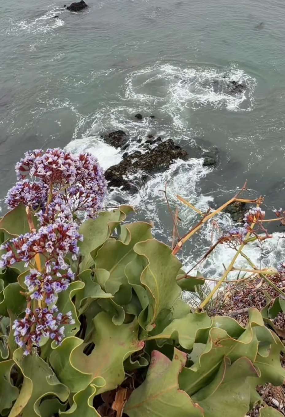 @Kel🌺