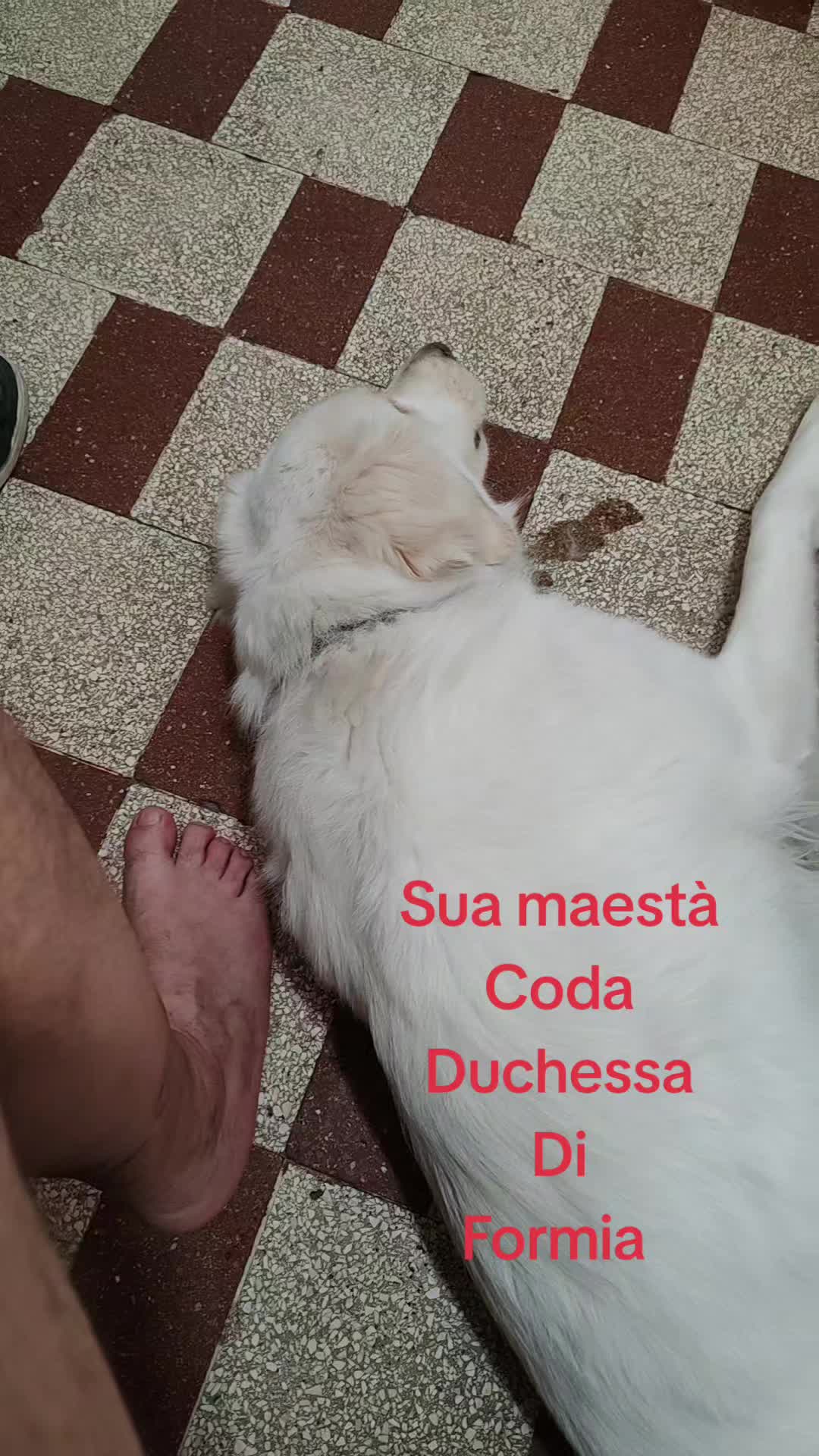@La vitaccia