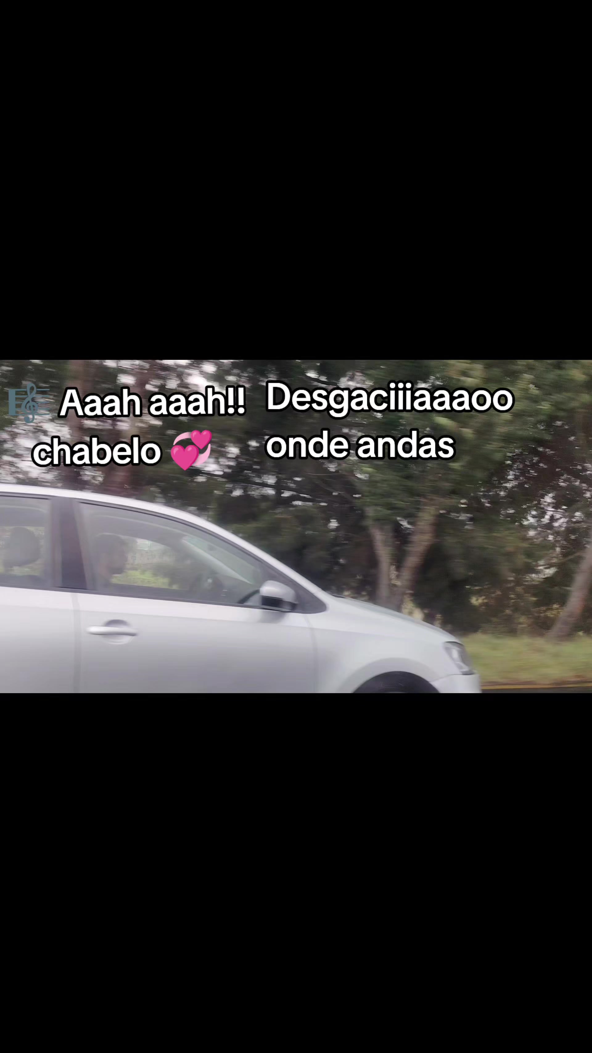 @laurasarmiento918