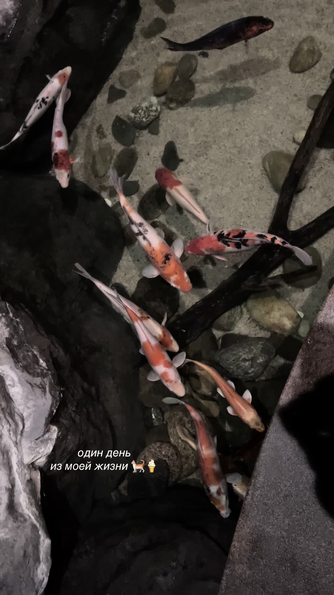 @наночка 𐙚