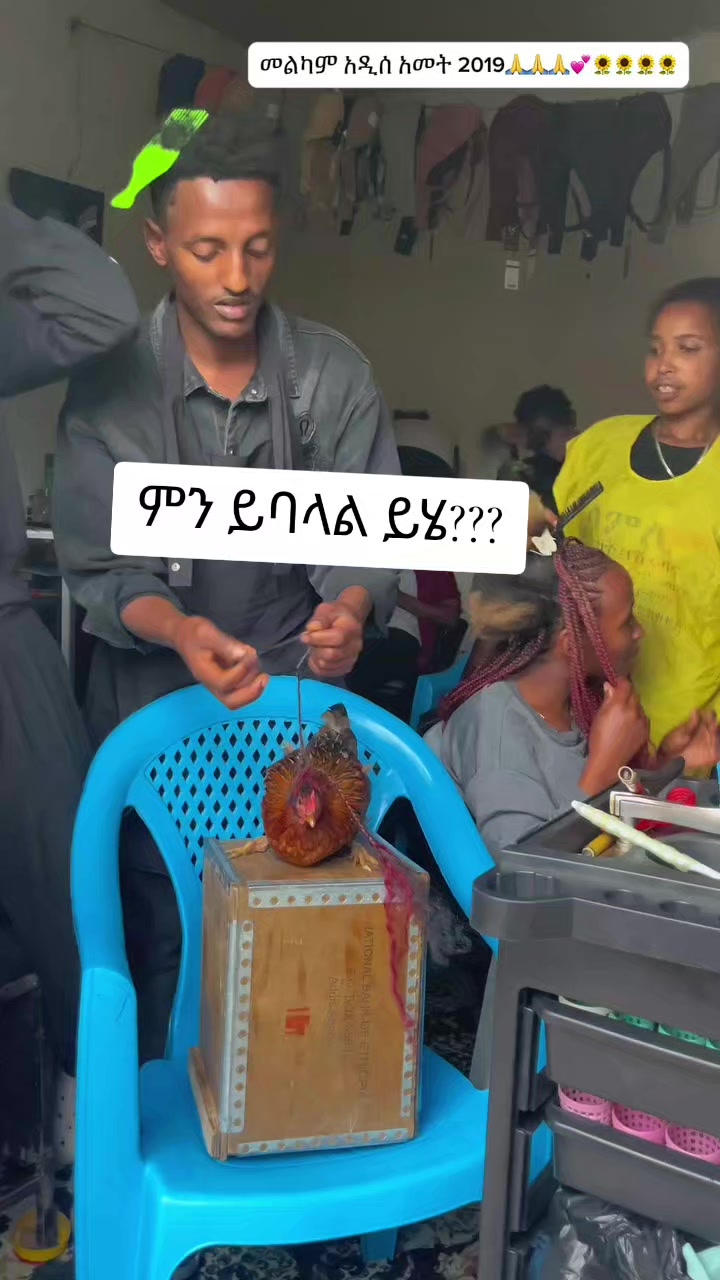 @ሞኞ🐝🦋 (ንማጀኛ🐾🦥)