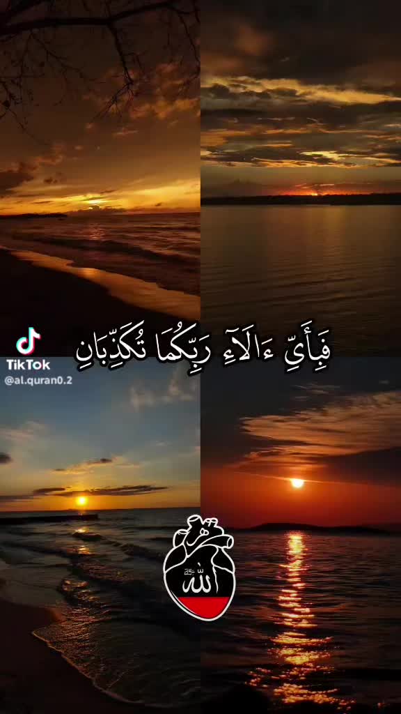 @Nishaba Rajpoot