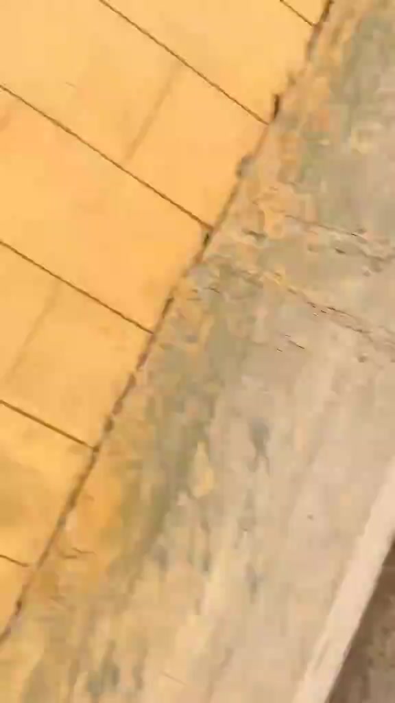 @saverababy328❤️🔥💘