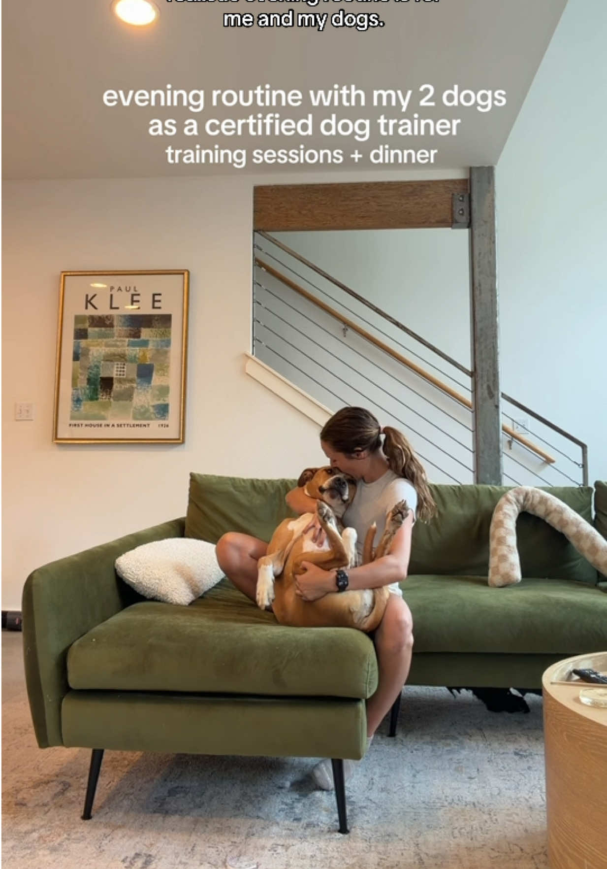 @Abby KPA-CTP | Dog Trainer