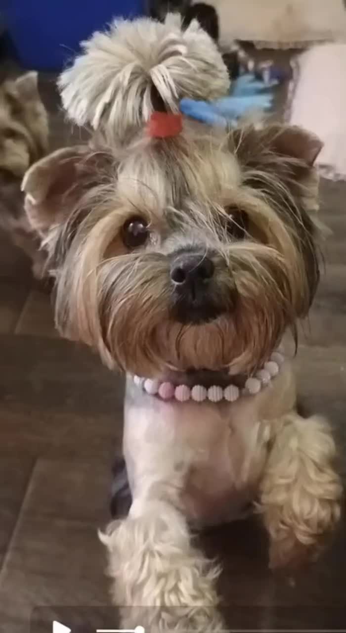 @Соня и Бетти ❤️