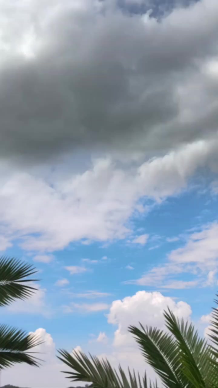 @valenko
