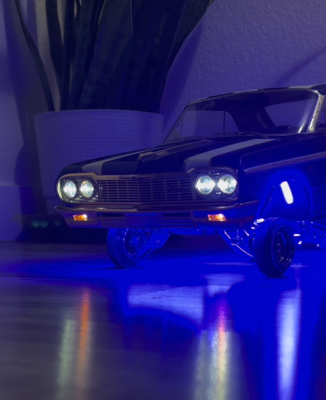 @Born Purpose RC