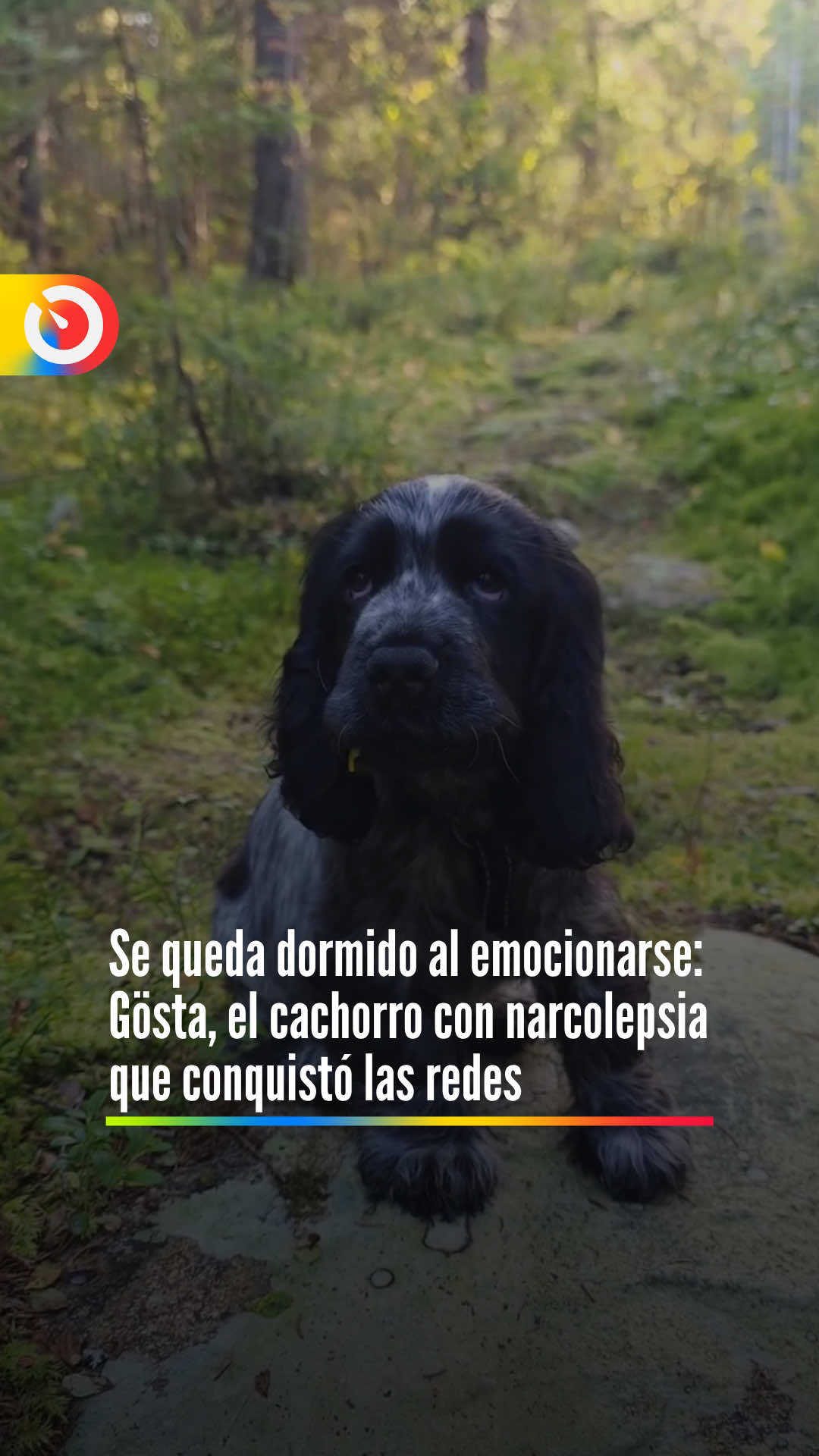 @Última Hora Col
