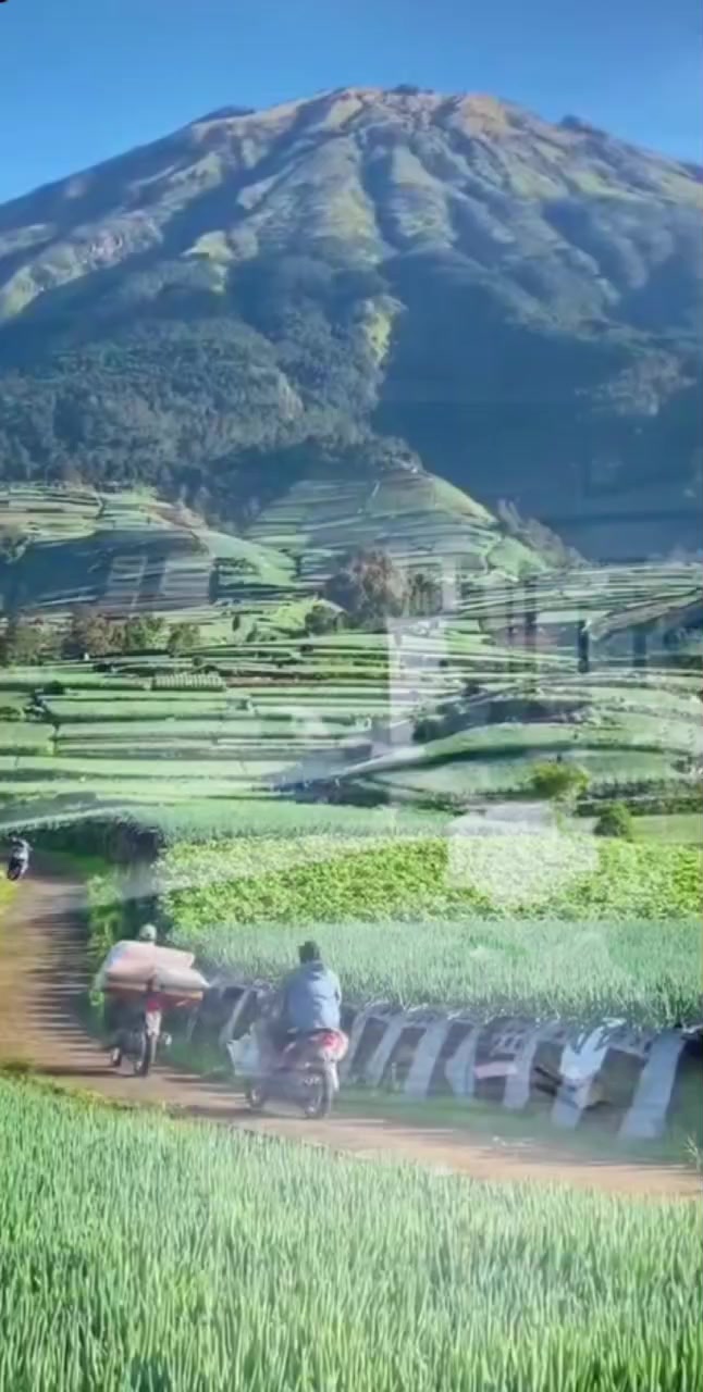 @"Rama-Amar12☝🇵🇸🇵🇸🇵🇸