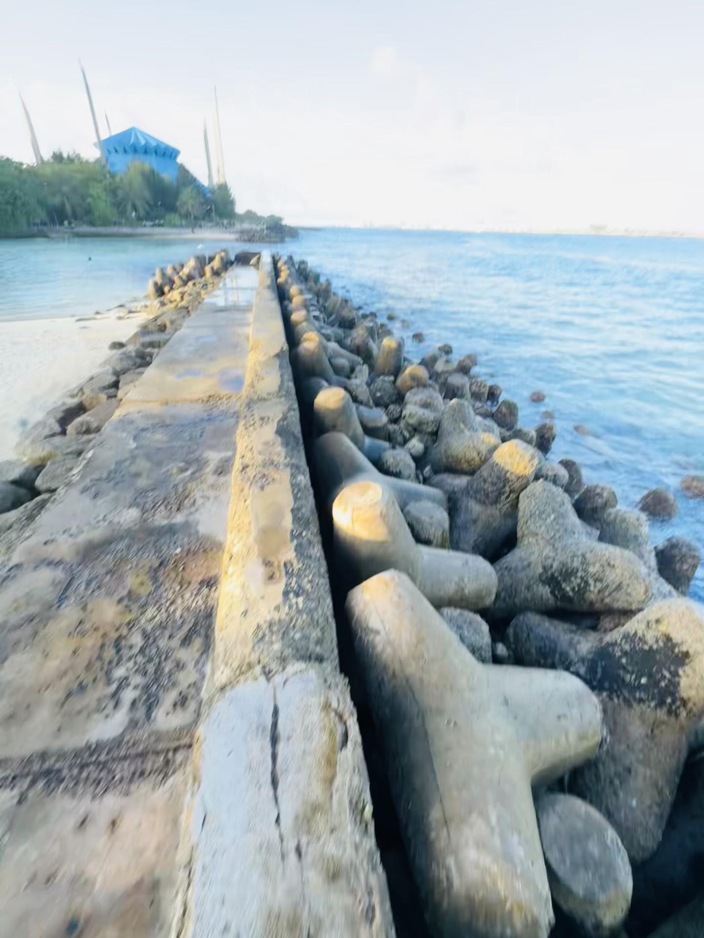 @♪~Ꭰꫝɪᴍᴏɴᴅ_🇲🇻