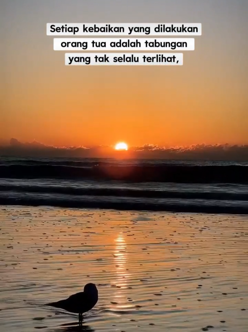 @Fazahra_Qolbu