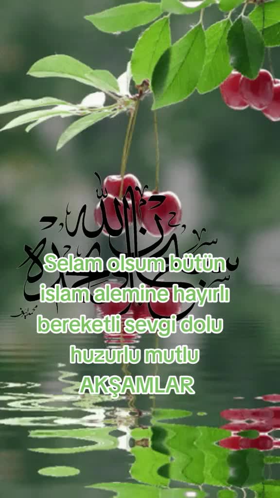 @03ŞAHİN03