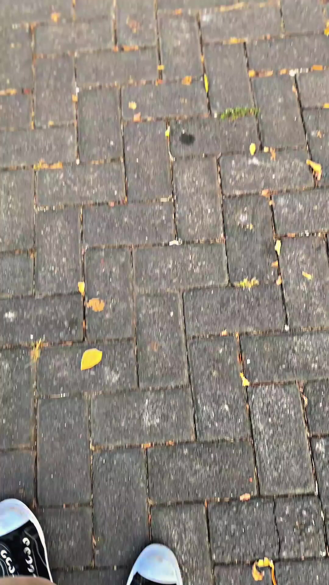 @BLANKYY01