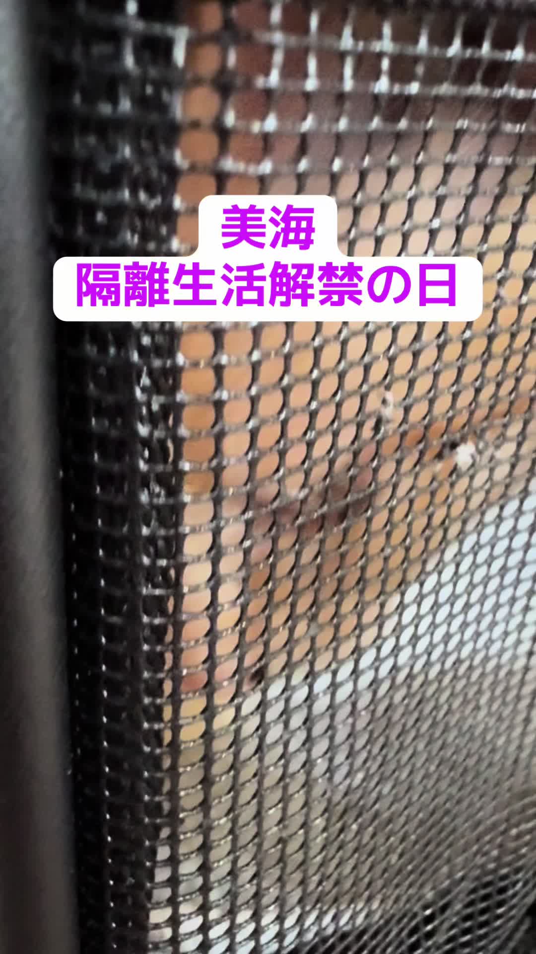 @ブルースカイの倫