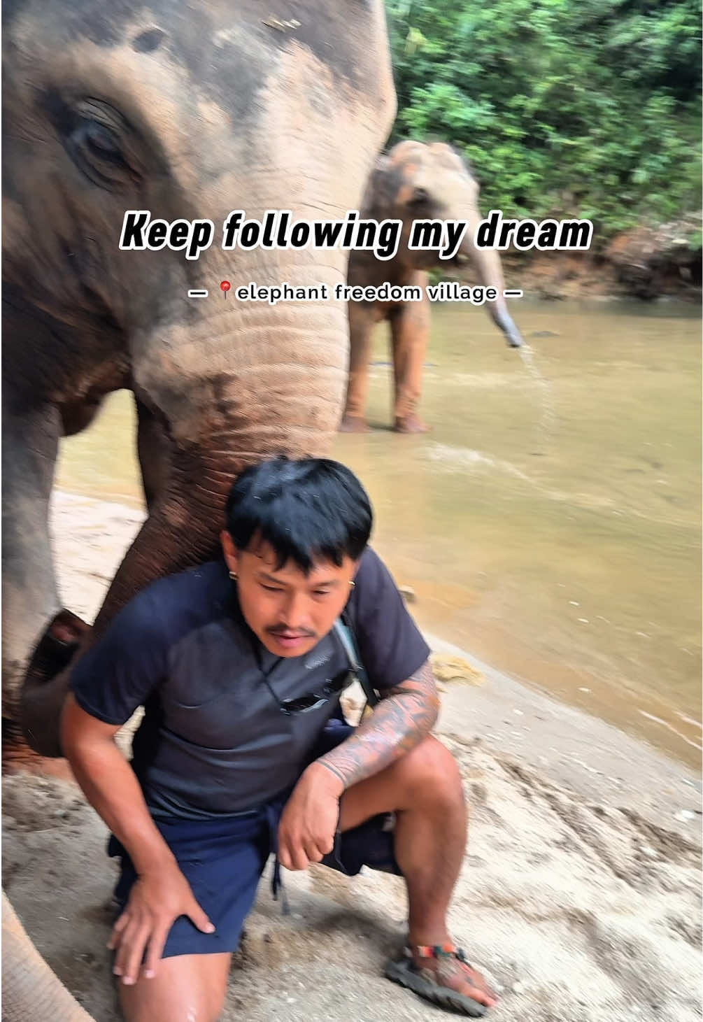 @Elephant way