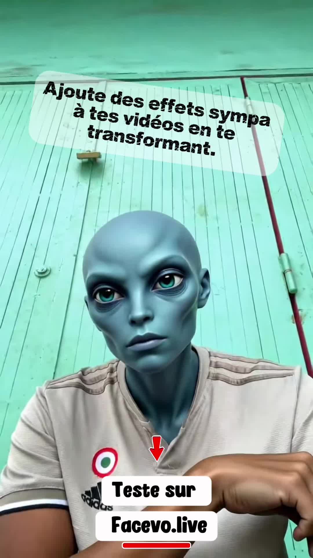 @facevo.live