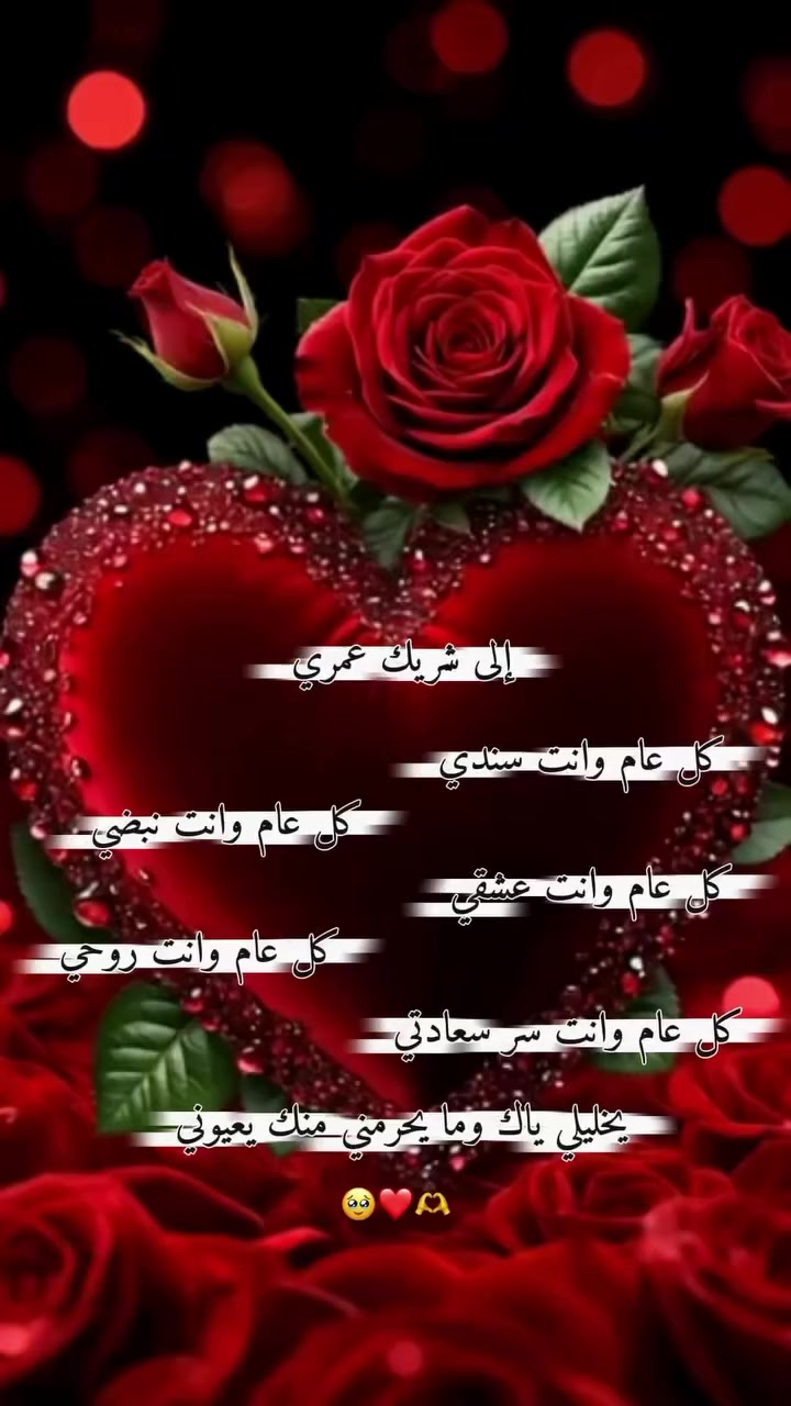 @alestora_reem_