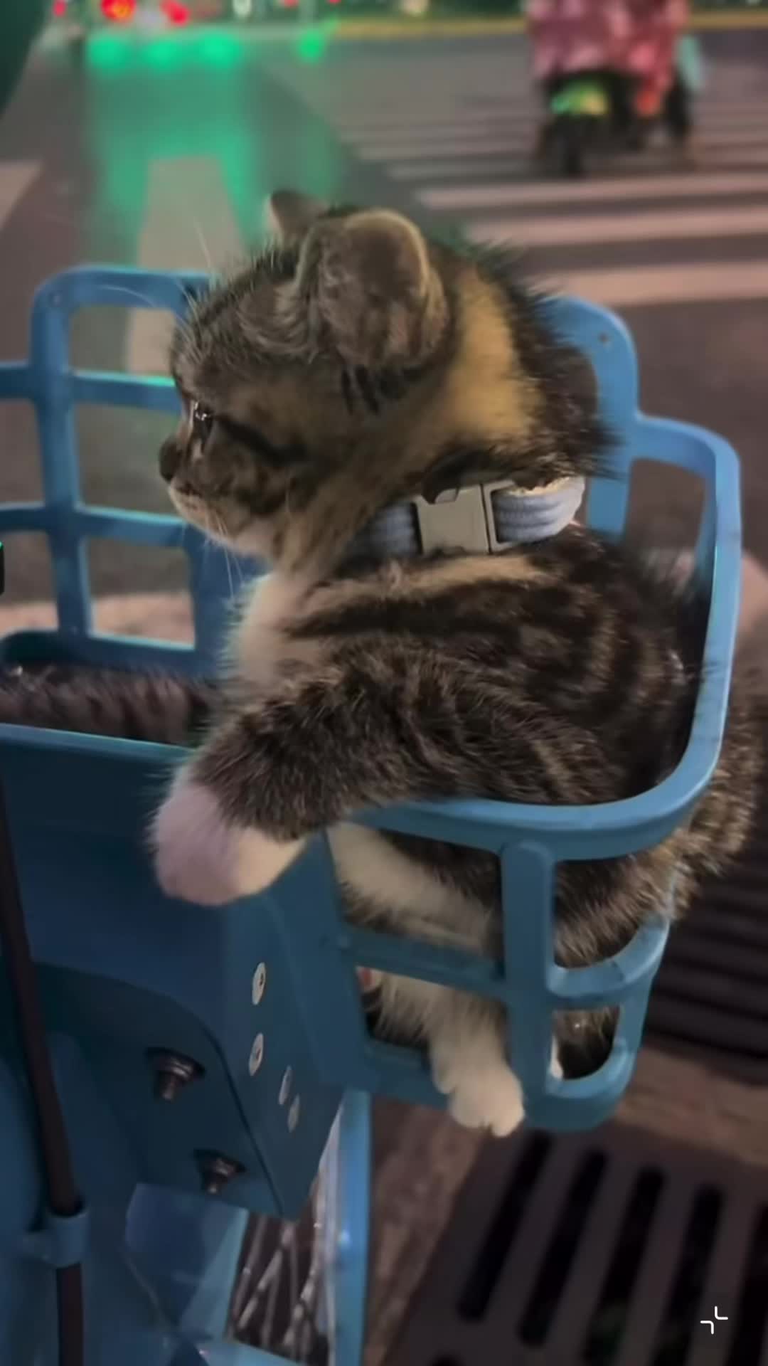 @My Daily Dose of Aww