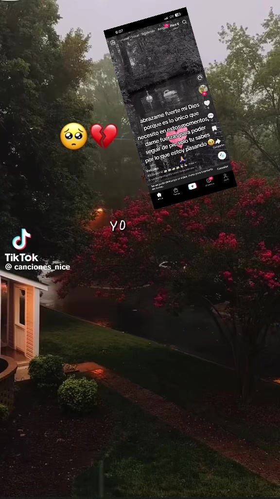 @Alexandra Chipantiza