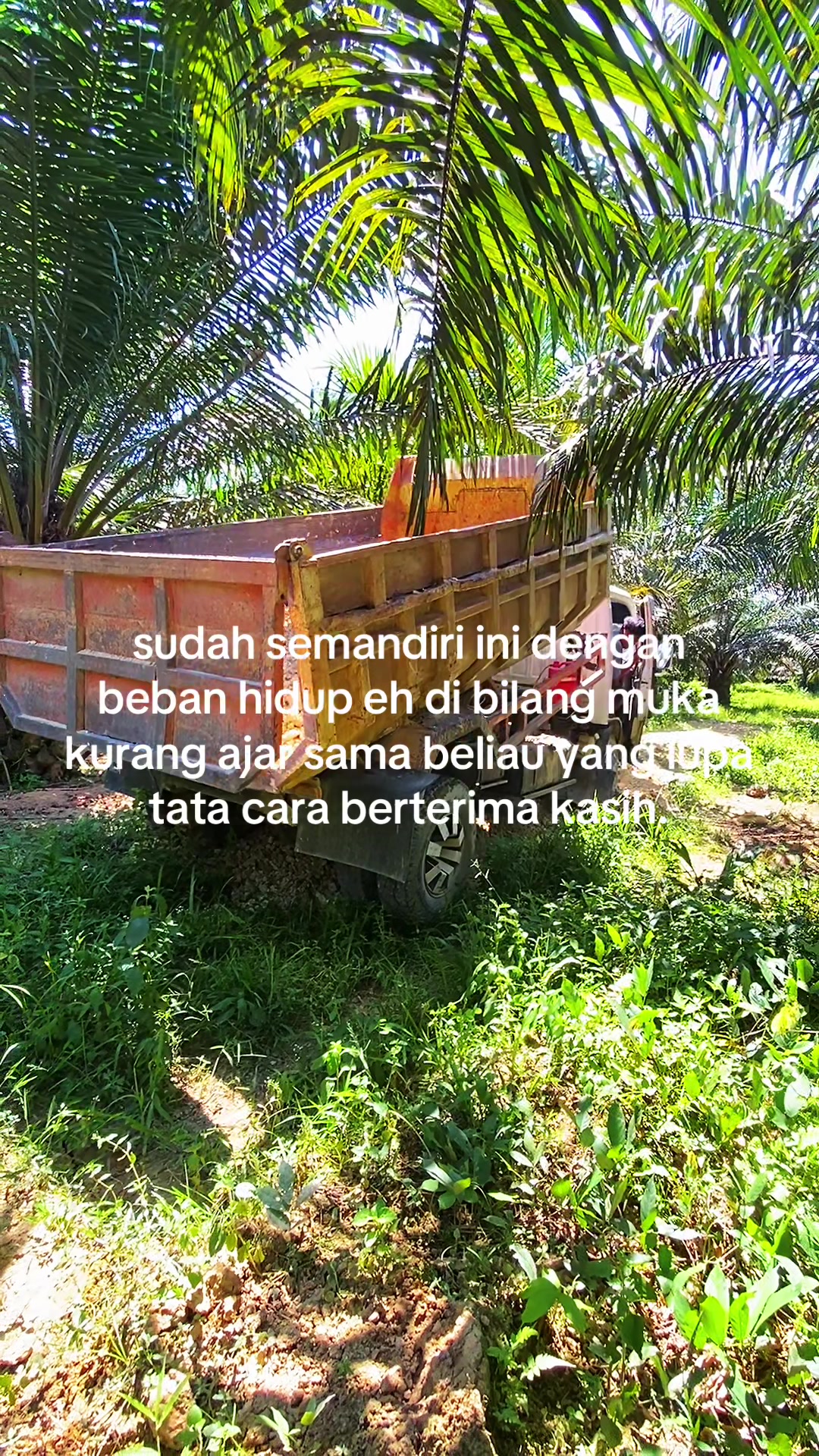 @Muhammadfurqan_165