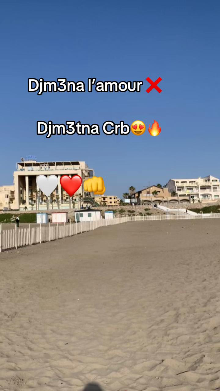 @Anfel🪩