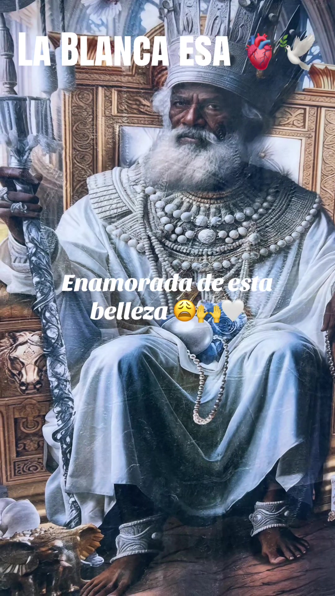 @Lacasadeeggun🤍🖤