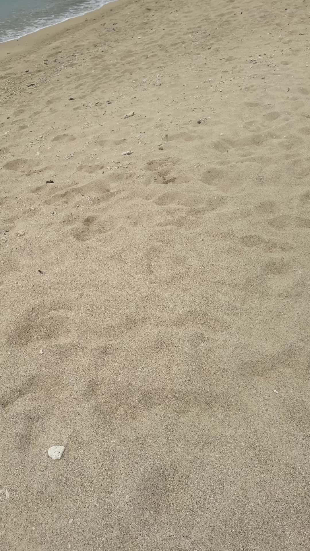 @whoisyasmeen