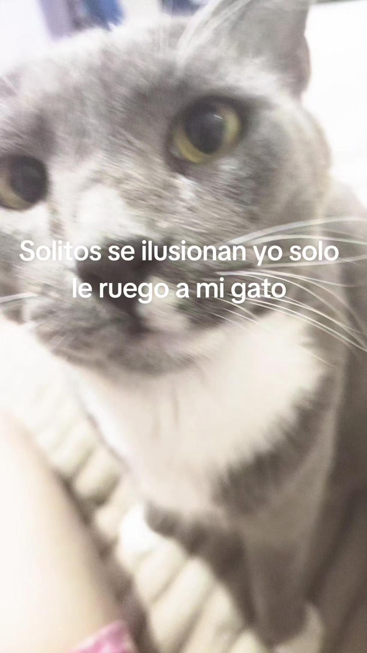 @VIII