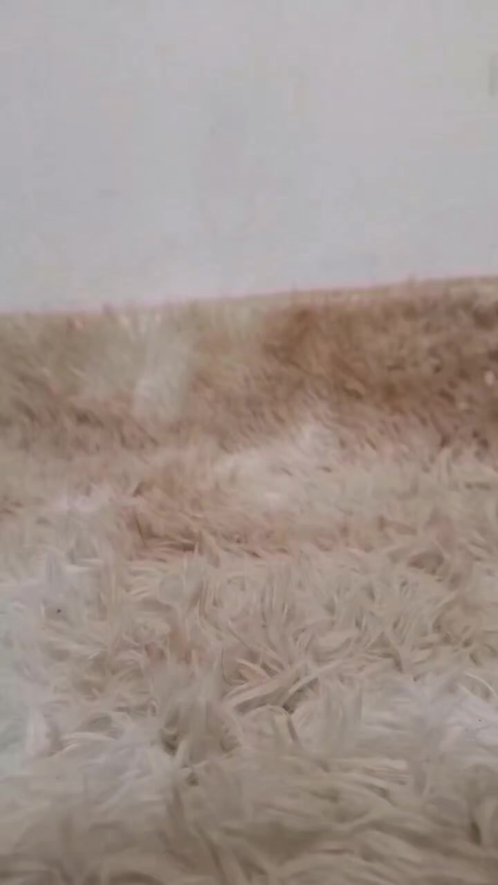 @Gabi Santos