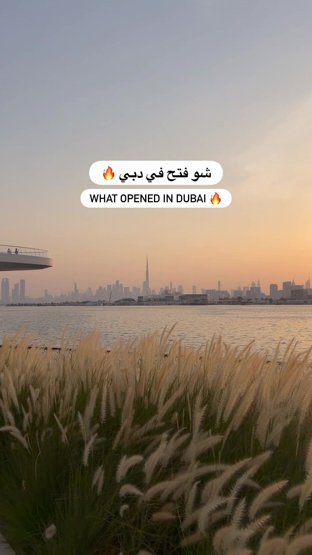@uaeblog1