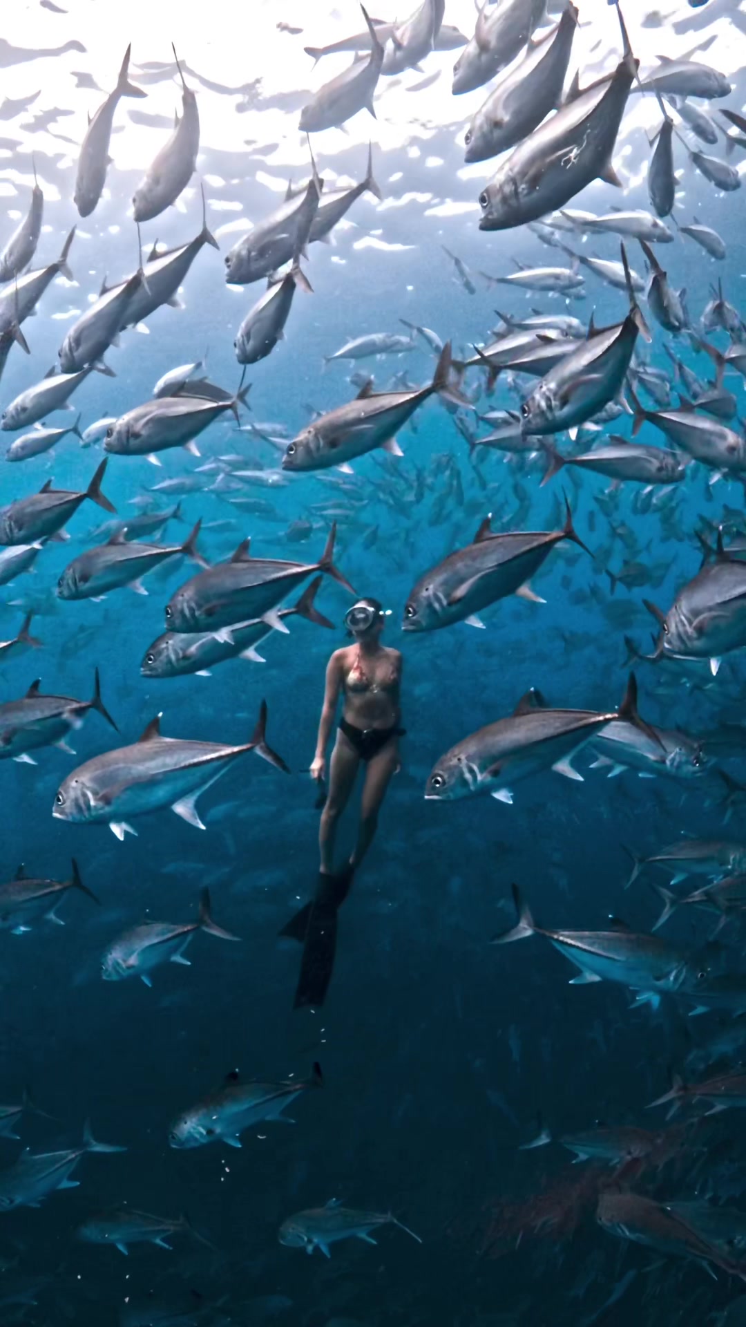 @divewith_eyJ