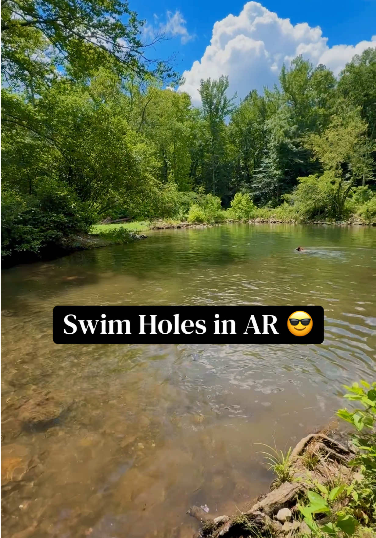 @Waterfalls in AR & Beyond!
