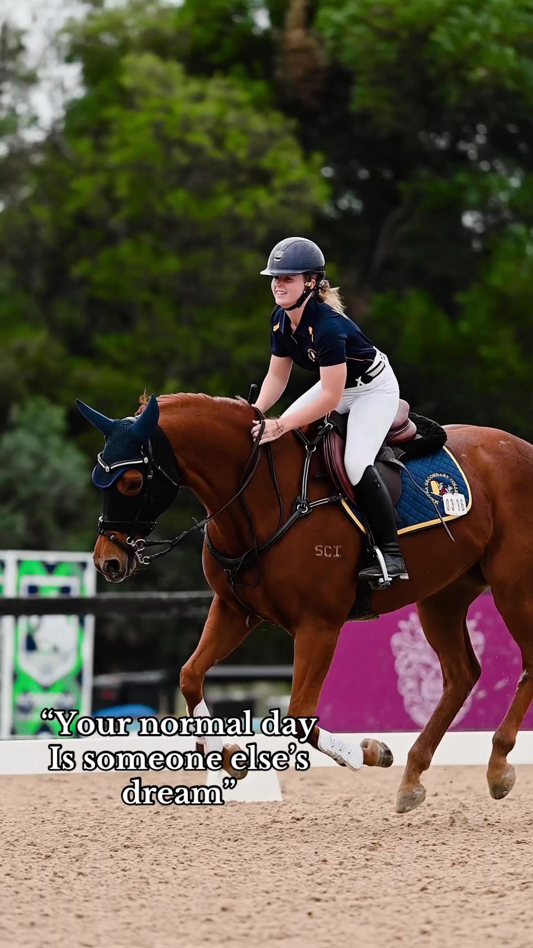 @skye.oequestrian38