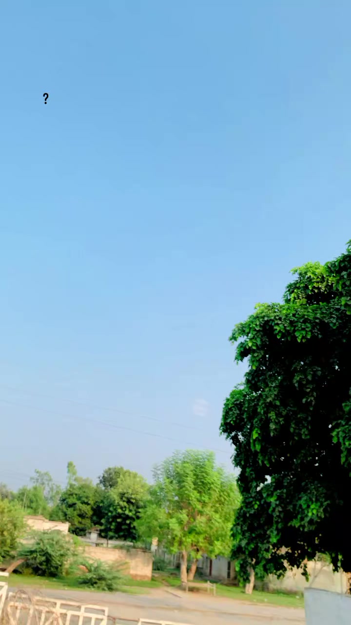 @︻╦デ╤━╼یا مخلص تھی یا یار نہ سڈ