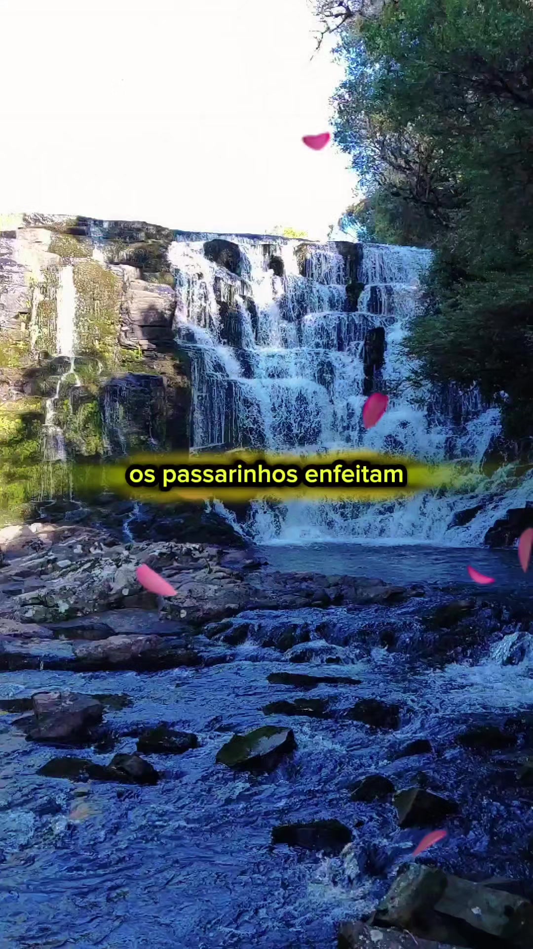 @s&oacute; mod&atilde;o