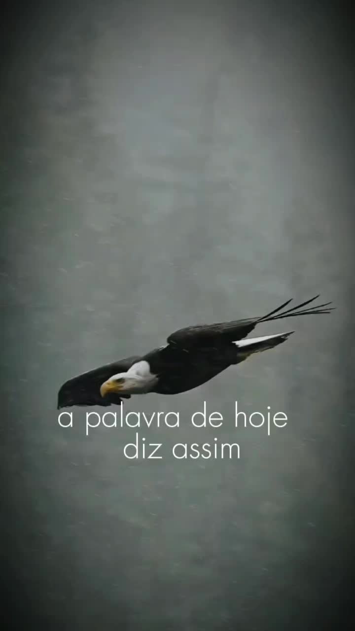 @Notícias do Espírito Santo Es