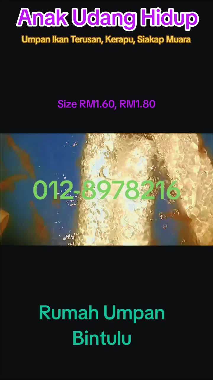 @Rumah Umpan Trading