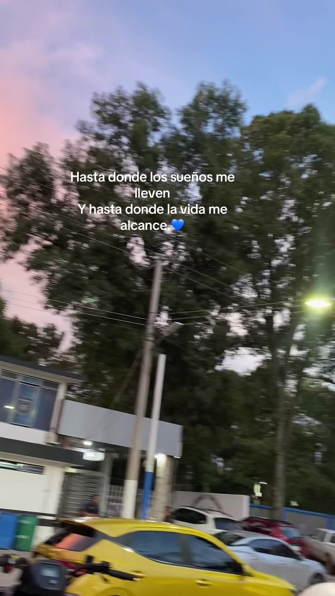 @Sofi Mora
