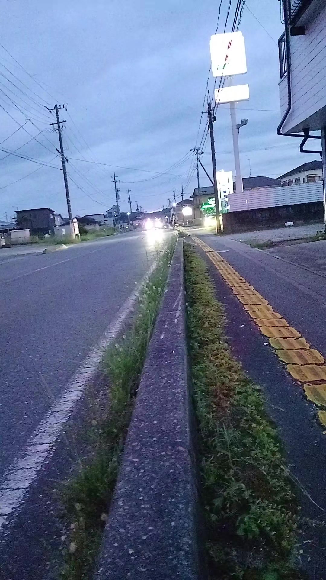 @犬吉