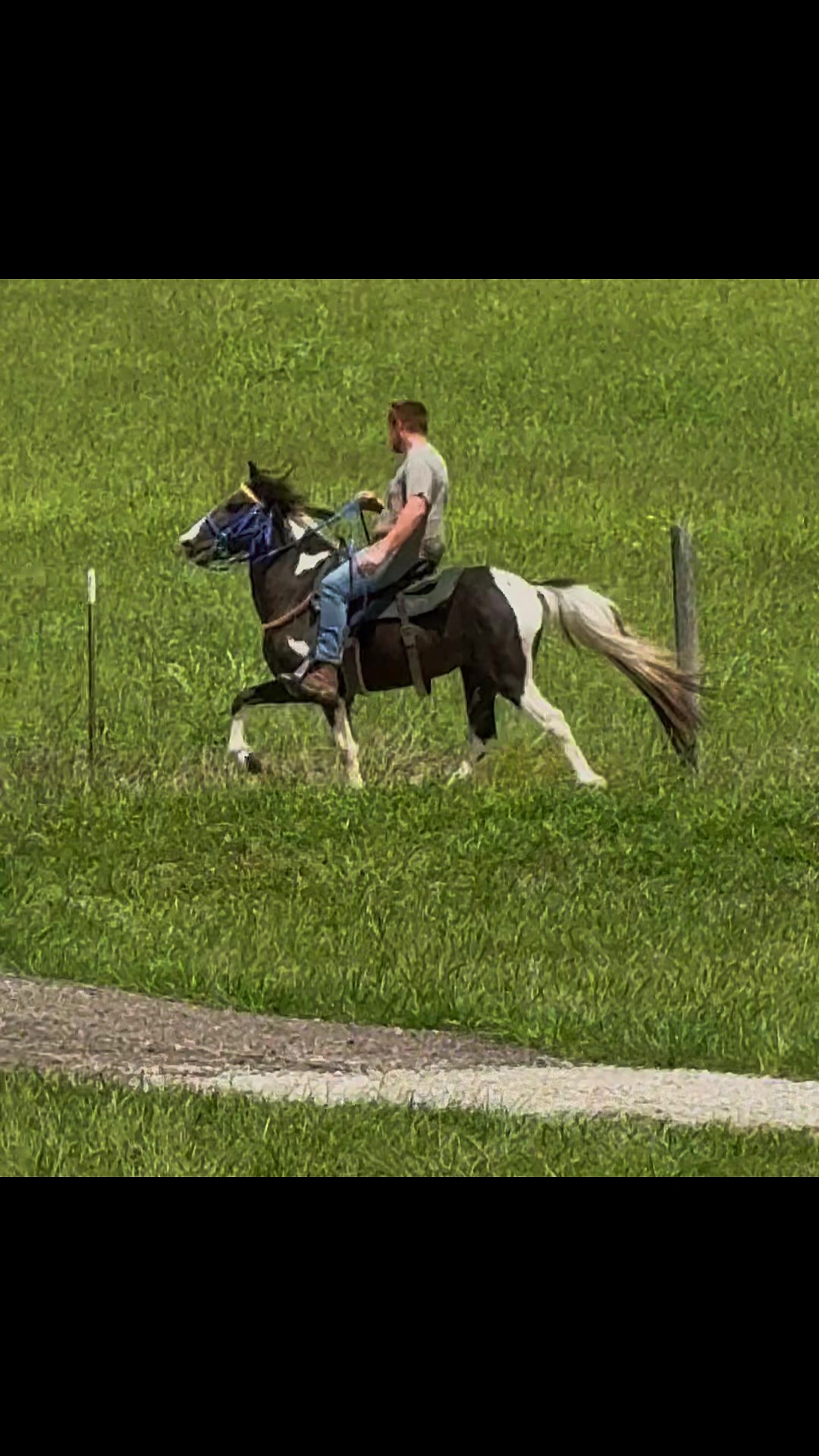 @Libby🐾❤️🐴